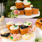 Engagement Cupcakes