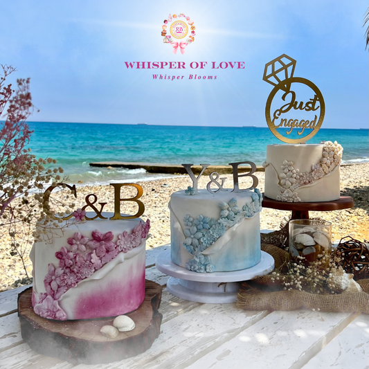 ๐พ๐๐๐๐๐๐ ๐ฉ๐๐๐๐๐