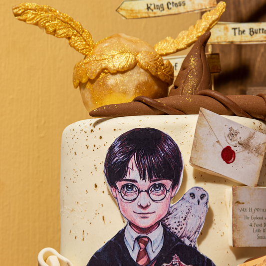 Wizard Magic  Cake